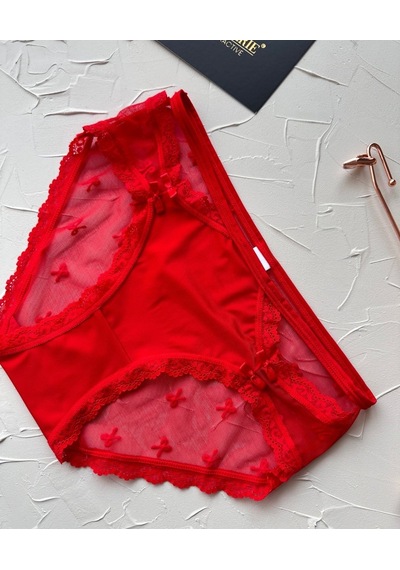 Arya Japon Style Arkası Tül Cut-out Dantel Detaylı Cheeky Külot/s Kırmızı