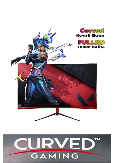 Apphirex TC55 R5-5500 16 GB 512 GB M.2 SSD RX550 23.6" W11P Masaüstü Oyuncu Bilgisayarı