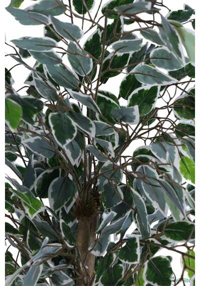 Yapay Çiçek Sitesi Beyaz Saksıda Yapay Benjamin Ficus Ağacı 130 Cm Yeşil - Beyaz Yeşil-beyaz