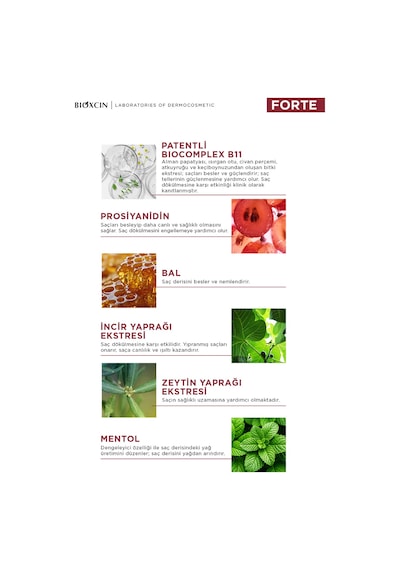 Forte Tonik 200 Ml - Mentol Ferahlığı - Yoğun Saç Dökülmesine Karşı Tonik