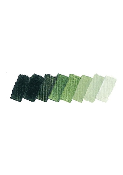 Schmincke Mussini Artist Yağlı Boya 35 ML Seri 2 526 Sap Green