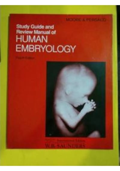 Embryology Human