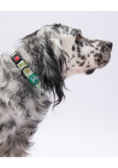 Avocado Avokado Desenli Köpek Boyun Tasması Ayarlanabilir Köpek Tasması Yeşil