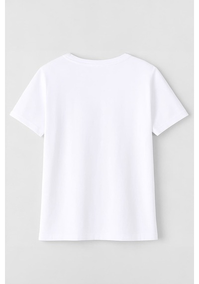 Erkek Rahat Kesim Bisiklet Yaka Baskı Detay T-shirt Çok Renkli