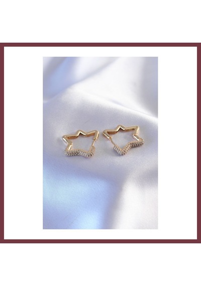 Storeşahin Gold Renk Zirkon Taşlı Yıldız Model Kadın Küpe Shn0720