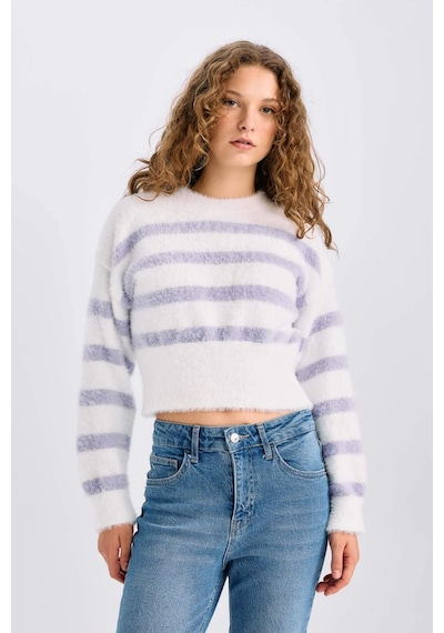 DeFacto Regular Fit Çizgili Bisiklet Yaka Triko Kazak R1285AZ24CWPR68 Mor