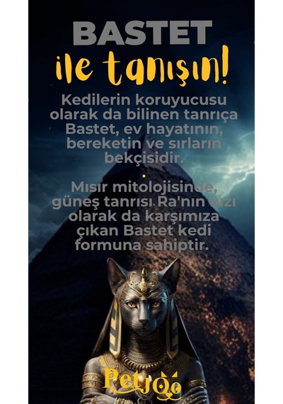 Petjoo 1.Bastet Sarı-Gri Qr'lı Kedi Künyesi