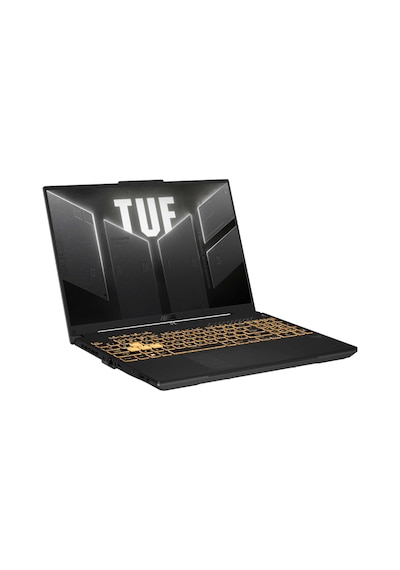 Asus Tuf Gaming F16 FX607VJ-RL059A014 i5-210H 64 GB 1 TB SSD + 2 TB SSD RTX3050 16" WUXGA Dos Dizüstü Bilgisayar