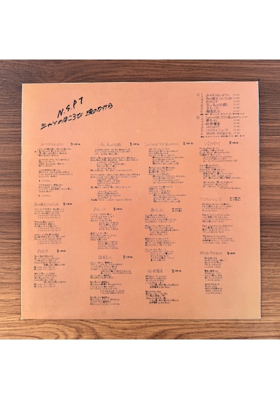 N.s.p. Frayed Shirt / Fragments Of Tears