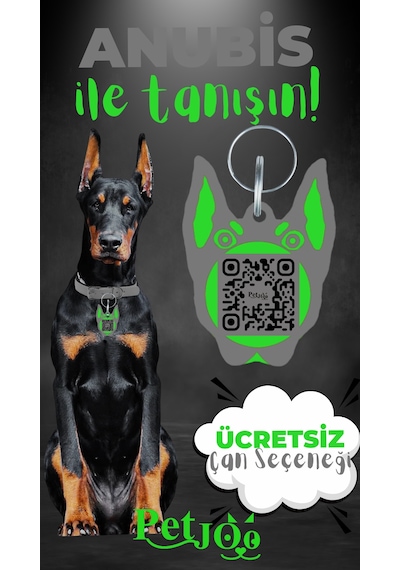 Petjoo 30.Anubis Yeşil-Gri Qr'lı Köpek Künyesi