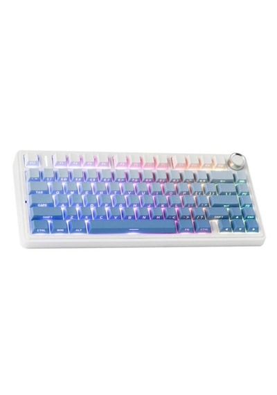 Aula F75 Mavi Leobog Reaper Switch Rgb Kablosuz Hotswap Mekanik G