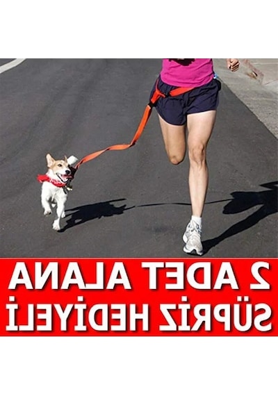 Ayarlanabilir Kayışlı Mor Renkli Kedi Ve Köpek Gezdirme Tasma