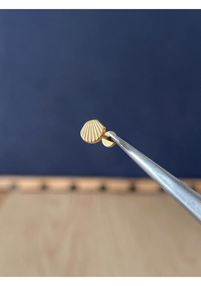 %100 G23 Titanyum Deniz Kabuğu Shell Altın Titanyum Labret Kıkırdak Piercing Beyaz Altın