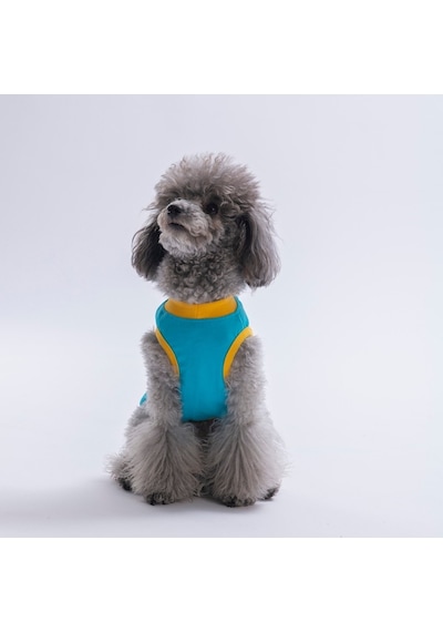 Turquoise-turkuaz Good Vibes Tişört Kedi Köpek Tişörtü-kedi Köpek Kıyafeti