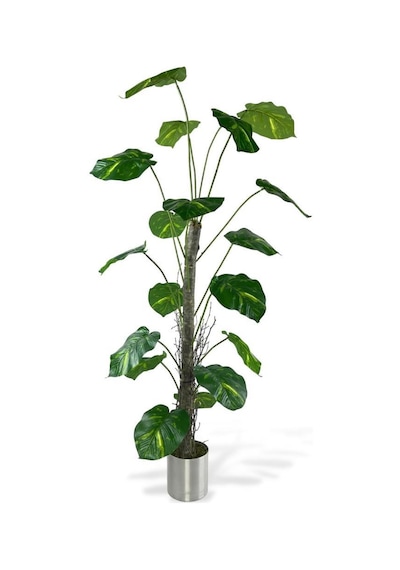 Yapay Ağaç Difenbahya Tropik 18 Dallı Çalılı Gövde 120x60cm Gümüş Aleminyum Saksıda