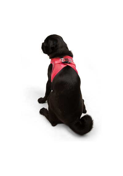 Air-Mesh Küçük ve Orta Irk Kedi Köpek Göğüs Tasması - Yumuşak, Nefes Alabilir, Dayanıklı NEON PEMBE L