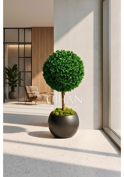 Yapay Uv Dayanımlı Şimşir Top Ağacı 100 Cm 45 Cm Çap 27x33 Cm Küre Saksılı Beyaz