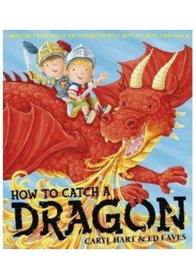 How to Catch a Dragon 9780857079596