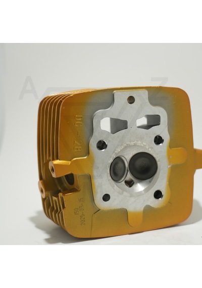 Cg 150 Üst Kapak Gold Çita 001