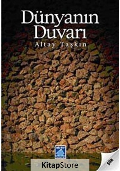 Dünyanın Duvarı - Altay Taşkın - Göl Kitap
