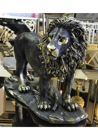 Aslan Biblo Hf248-3