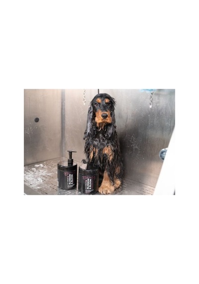 Showtech Blossom & Bloom Besleyici Köpek Tüy Kremi 125 Ml - 20:1 Oranına Kadar Konsantre