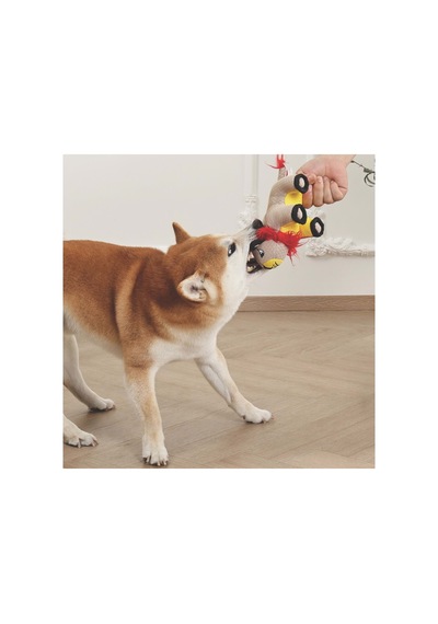 M-pets Mega Mini Lion Köpek Oyuncağı