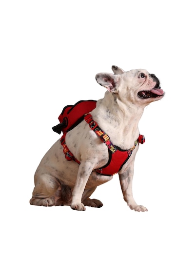 Gimme Five Kırmızı Çantalı Göğüs Tasması,köpek Sırt Çantası Göğüs Tasması İşlevli, Geri Dönüş