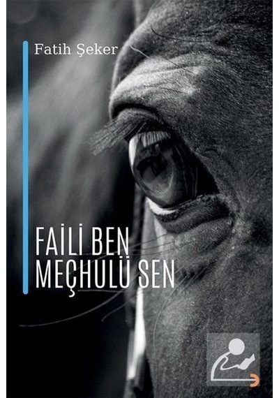 Faili Ben Meçhulü Sen - Fatih Şeker - Cinius