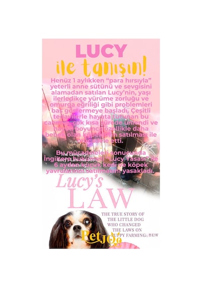 Petjoo 11.Lucy Sarı-Pembe Qr'lı Köpek Künyesi