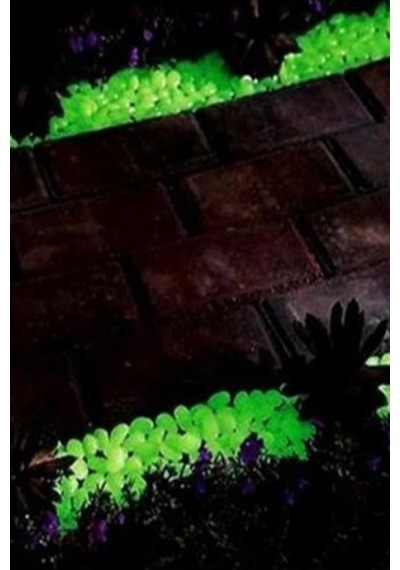 150 Adet Fosforlu Karanlıkta Işık Vererek Parlayan Dekoratif Çakıl Taşı Akvaryum Taşı 1-2 Cm - 916197295 10 X 100