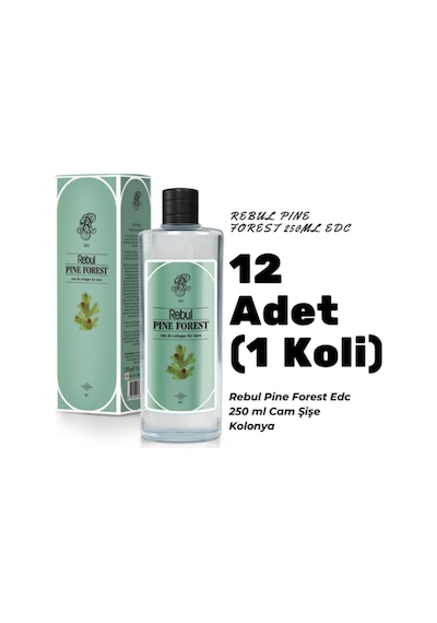 Rebul 80 Derece Pine Forest Kolonya Cam Şişe 12 x 250 ML