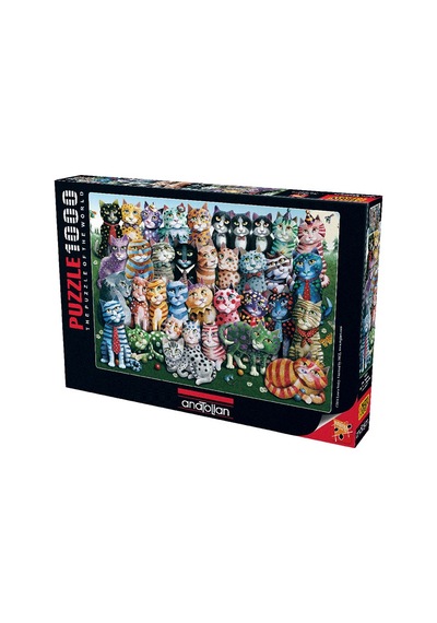 Anatolian Puzzle 1000 Parça Aile Toplantısı 1030