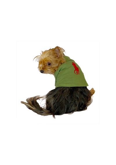 Grass Green Köpek Gömleği Köpek Kıyafeti Köpek Elbisesi