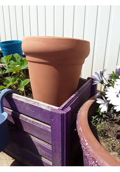 Toprak Saksı 19 20 Cm Terracotta Pişmiş Kil 1 Adet