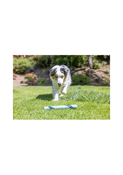 Sniff Fetch Stick Kokulu Köpek Oyuncağı Jambon Aromalı