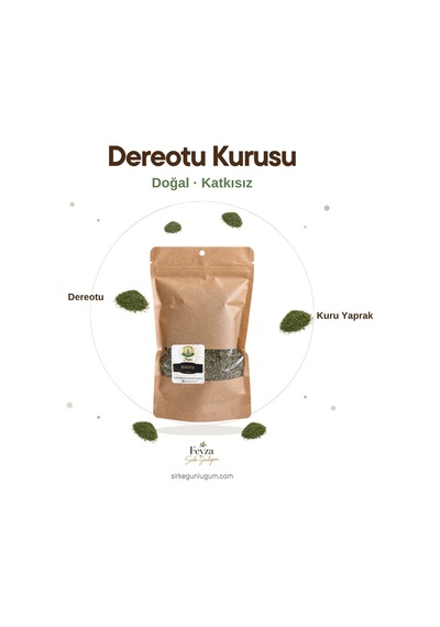 Sirke Günlüğüm Dereotu Kurusu