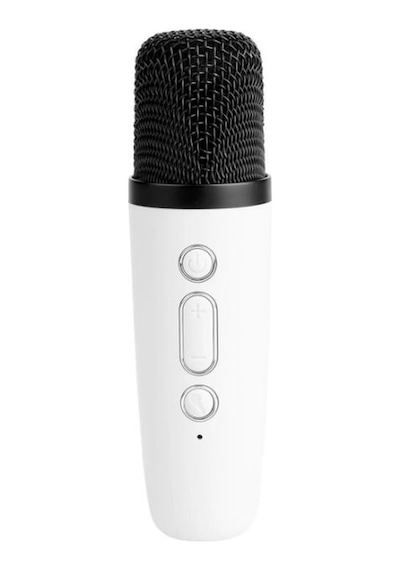 Prozone Karaoke Mikrofonlu Hoparlör