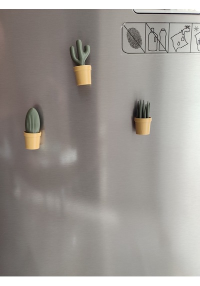 Ev Dekorasyon Buz Dolabı Magnet Succulet 3 Adet