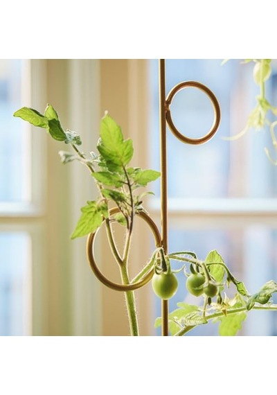 Ikea Doftrıps Bitki Desteği, Çok Renkli, 2'li Set / İç/dış Mekan