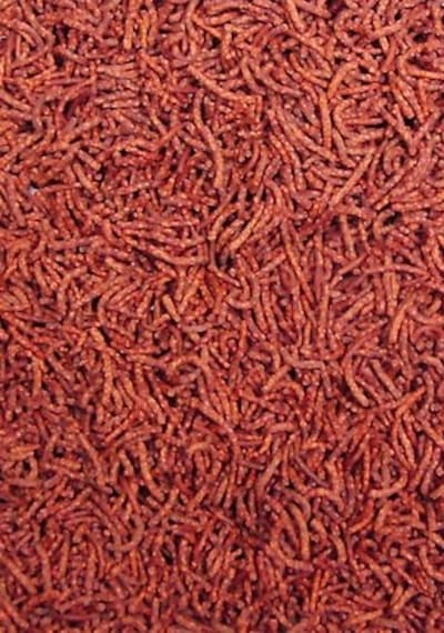 Ocean Nutrition  Discus Formula Pellets 125 G