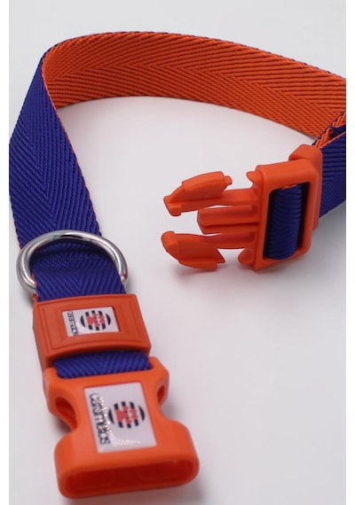 Caramelos Orta Ve Büyük Irk Ayarlanabilir Köpek Boyun Tasması, 2,5 Cm Tl Lacivert - Turuncu