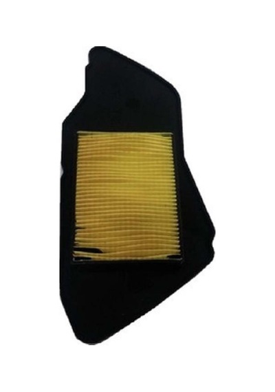 Motomaster 303-146 Hava Filtresi