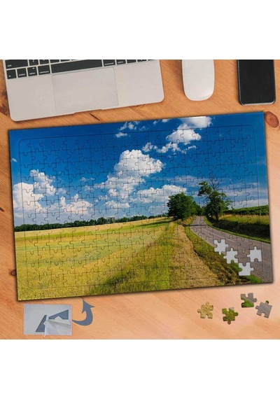 Açık Hava Ve Çimenli Yol 240 Parça Puzzle Yapboz Tablo-111