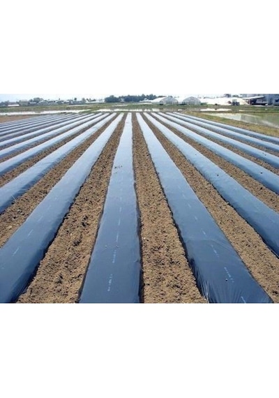 Çilek Naylonu Malç Örtüsü 50 Mikron Siyah Sebze Örtüsü Uvli 1. Kalite 100 X 60 Mt