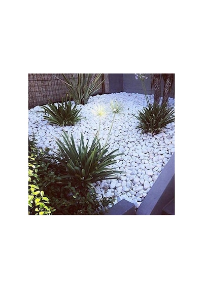 Beyaz Dolomit Taş 20 Kg 4-6 Cm Bahçe Süs Taşı Dekoratif Taş Dere Taşı Loche