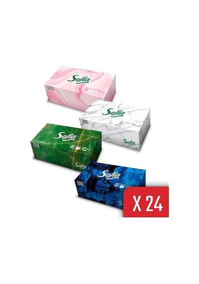 Sofia Kutu Mendil 100 Yaprak 24 Paket
