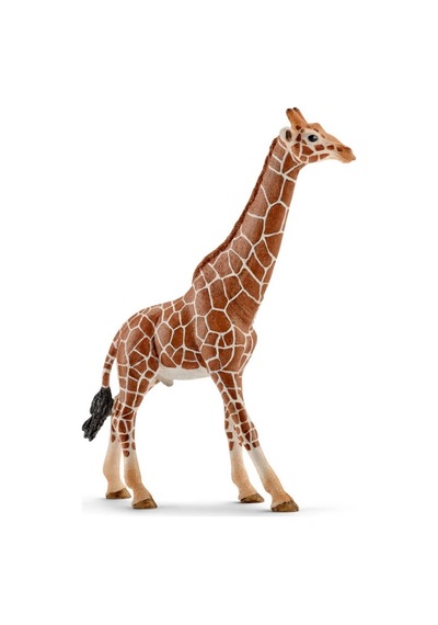 Schleich Dişi Zürafa