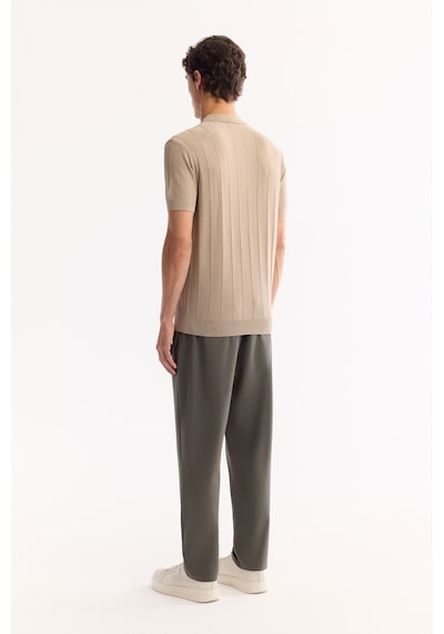 Avva Erkek Vizon Polo Yaka Fermuarlı Rayon Tüylenmeyen Çizgili Triko Regular Fit T-shirt A52y5010