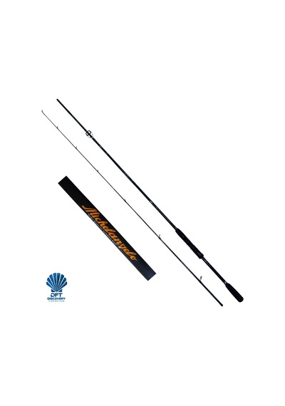 Dft Michelangelo 243 Cm Olta Kamışı 10-20 G - 810.2m.243